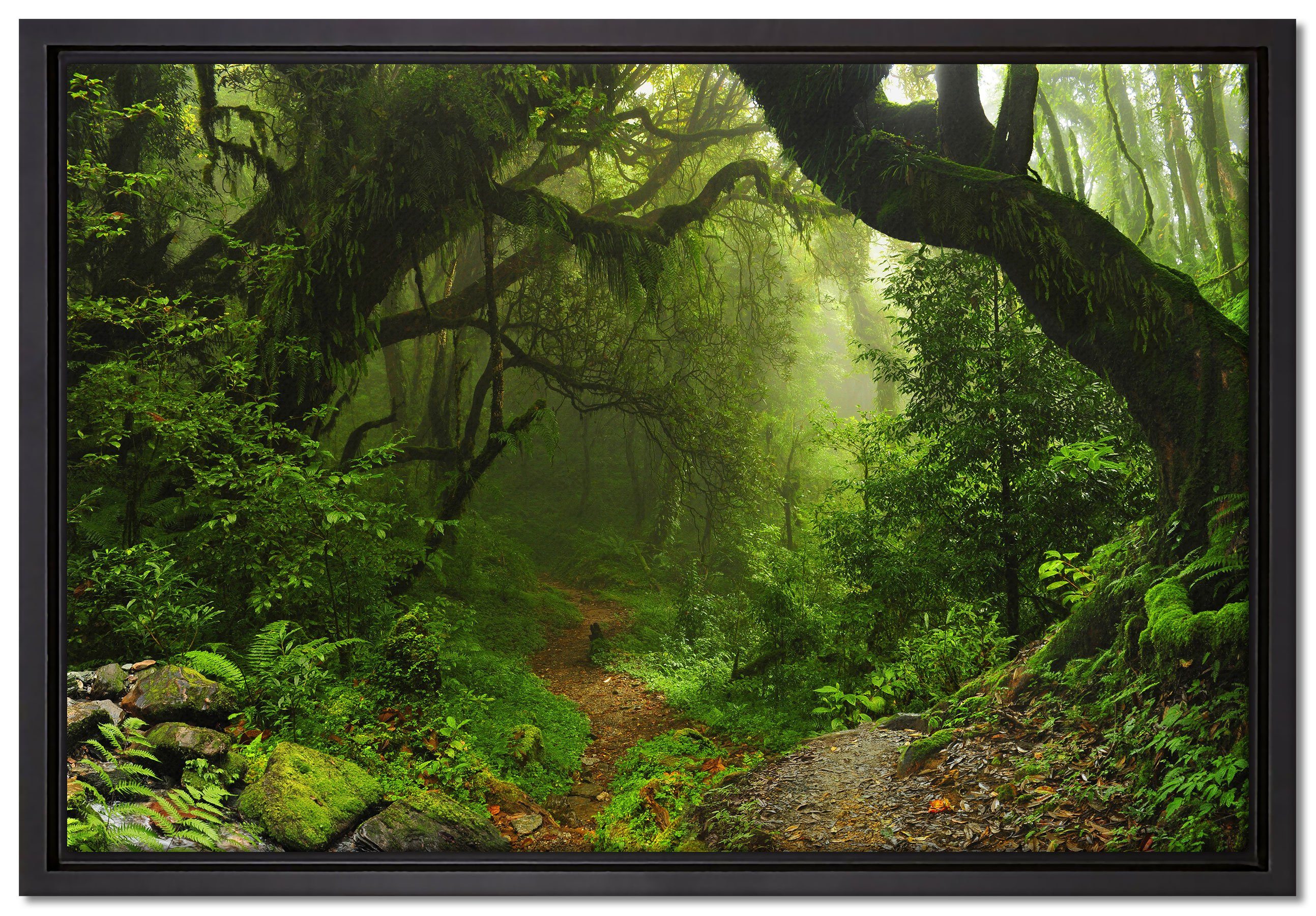 Pixxprint Leinwandbild Mystischer Regenwald, Wanddekoration (1 St), Leinwandbild fertig bespannt, in einem Schattenfugen-Bilderrahmen gefasst, inkl. Zackenaufhänger