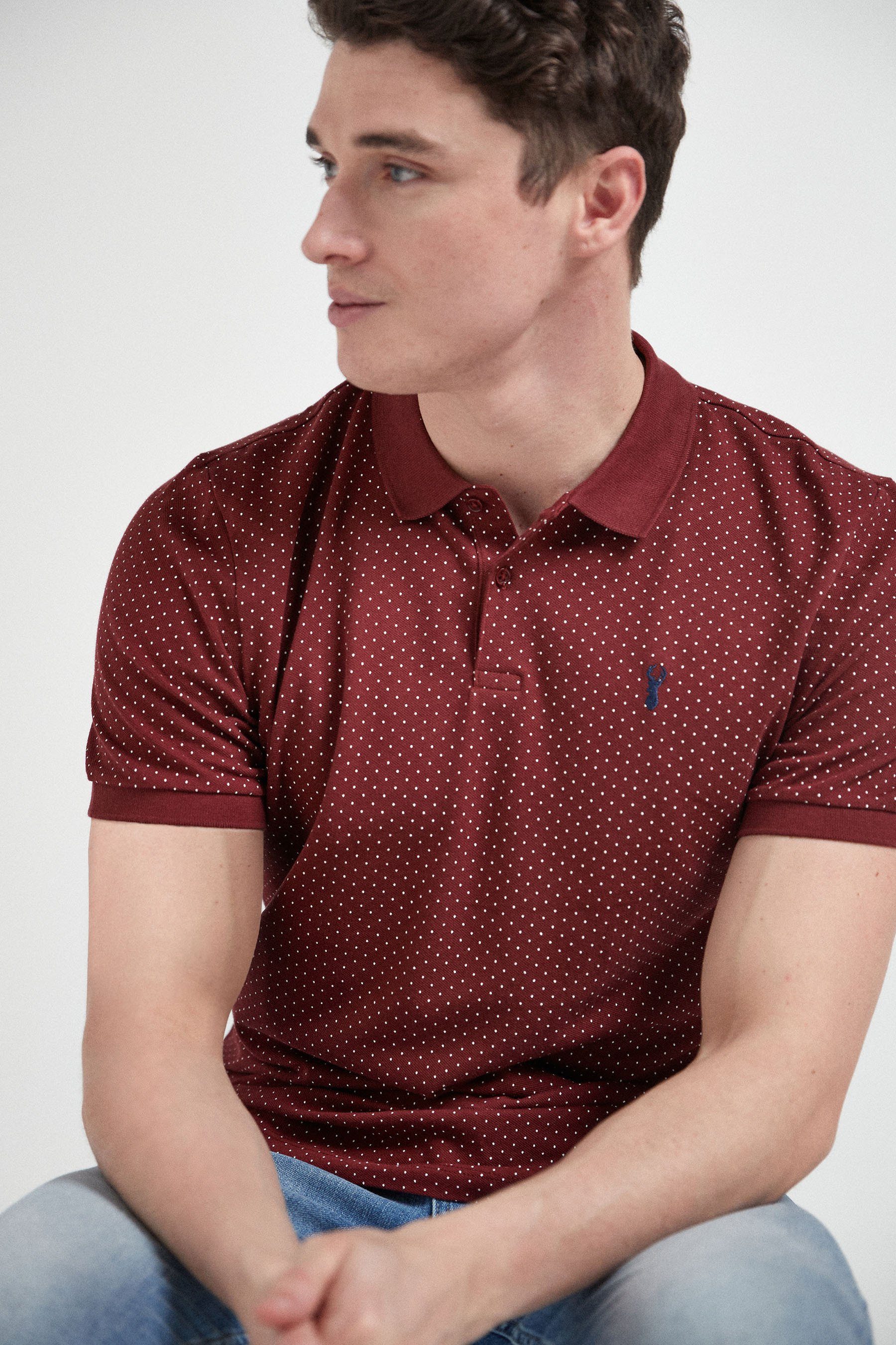 Next Poloshirt Piqué-Poloshirt (1-tlg) Burgundy Red Print
