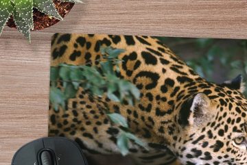 MuchoWow Gaming Mauspad Schleichender Jaguar im Wald (1-St), Mousepad mit Rutschfester Unterseite, Gaming, 40x40 cm, XXL, Großes