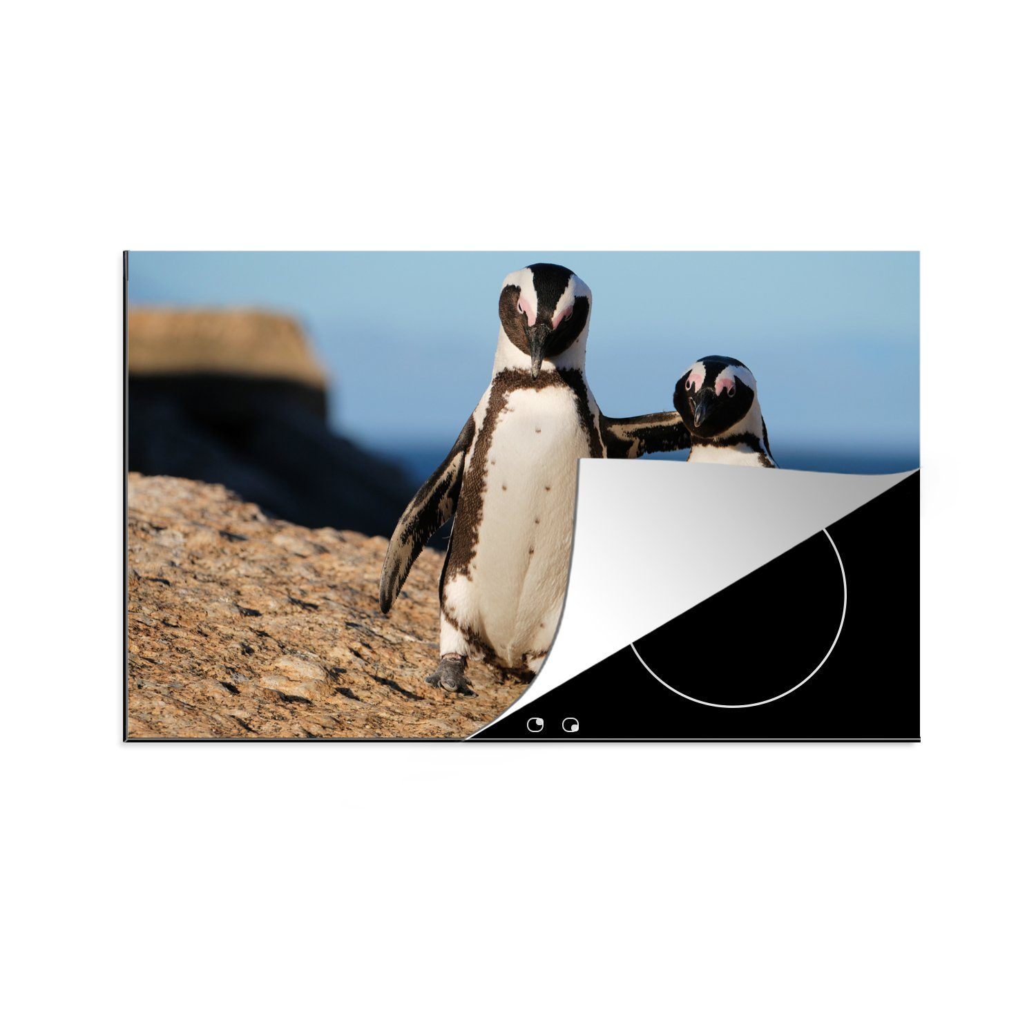 MuchoWow Herdblende-/Abdeckplatte Zwei Pinguine kuscheln auf einem Felsen, Vinyl, (1 tlg), 81x52 cm, Induktionskochfeld Schutz für die küche, Ceranfeldabdeckung