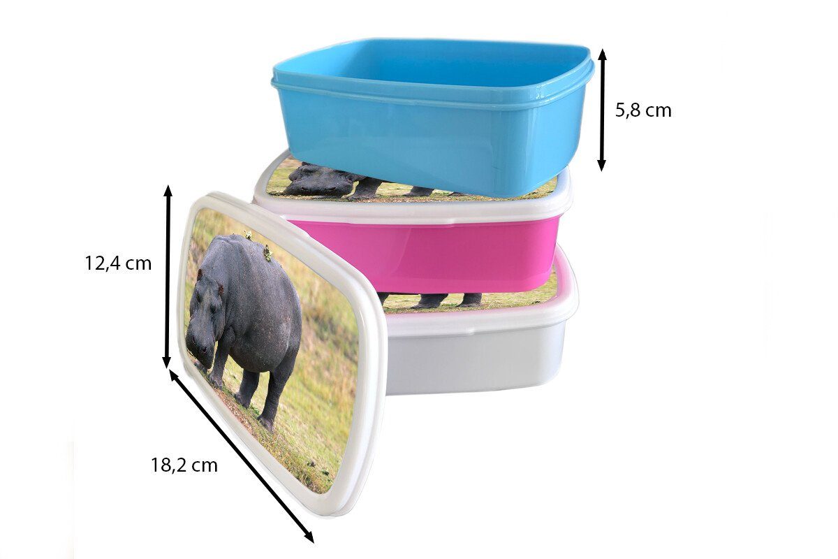 Snackbox, (2-tlg), Lunchbox rosa Erwachsene, - Brotbox Kunststoff Kunststoff, Nilpferd Brotdose MuchoWow Gras, Mädchen, Kinder, für