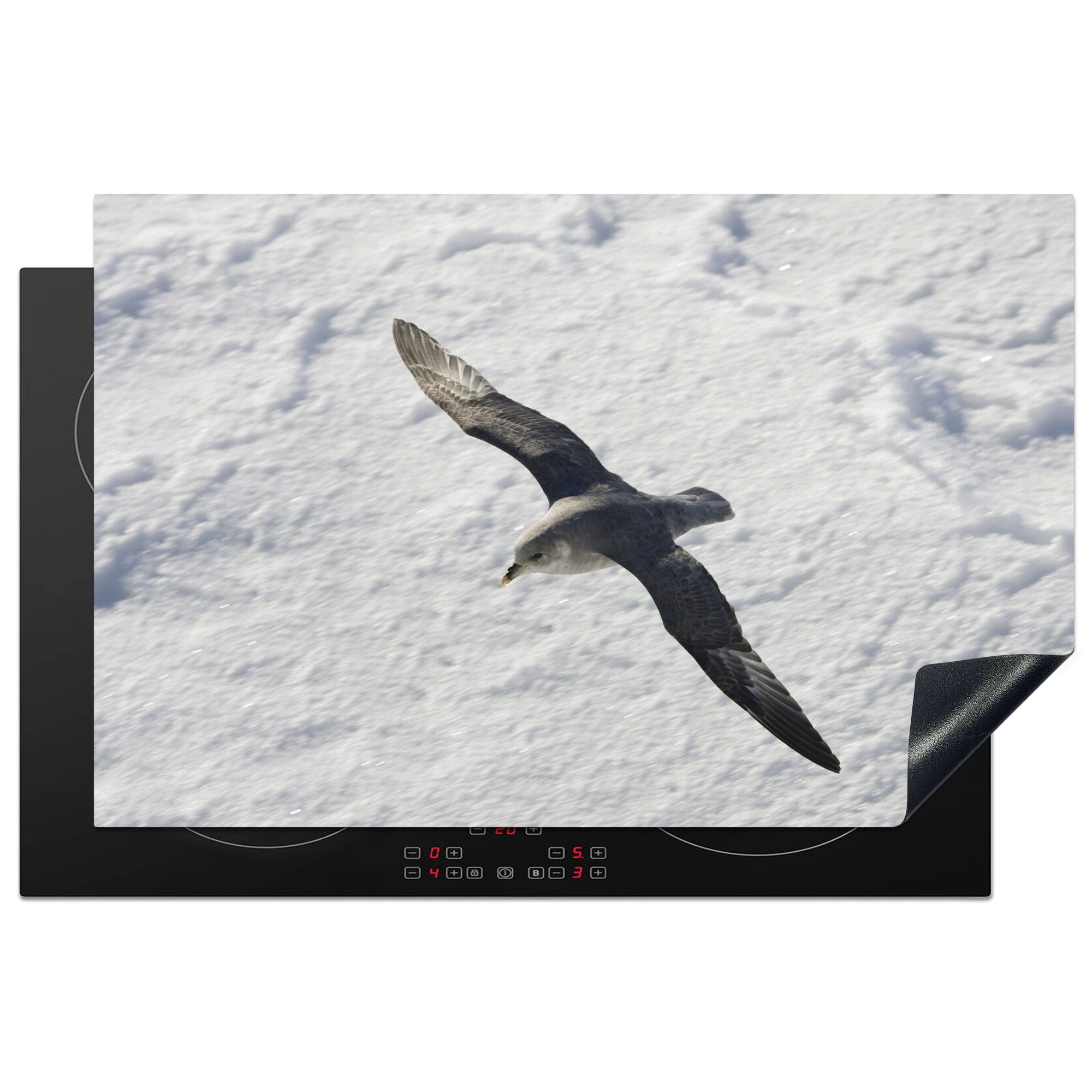 MuchoWow Herdblende-/Abdeckplatte Eissturmvogel über der Winterlandschaft von Norwegen, Vinyl, (1 tlg), 81x52 cm, Induktionskochfeld Schutz für die küche, Ceranfeldabdeckung