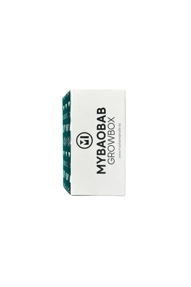 maishameanslife Blumensamen Growbox - Baobab - Zimmerpflanze, Handgefertigt · Recyceltes Glas · Unikat