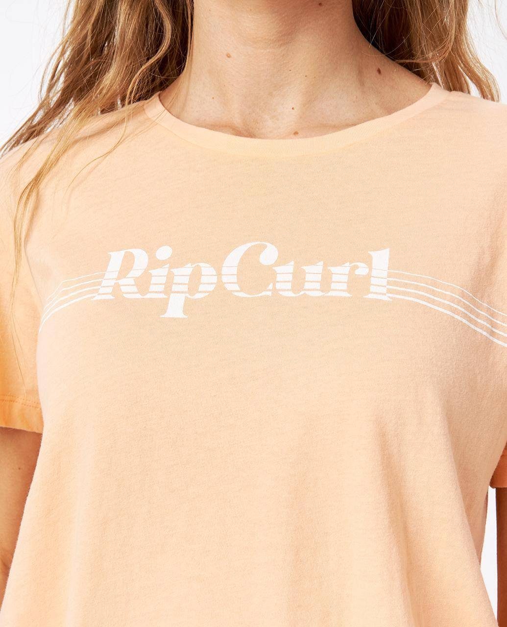 Standart Curl Print-Shirt Re-Entry Rip T-Shirt
