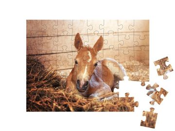 puzzleYOU Puzzle Haflingerfohlen im Stall, 48 Puzzleteile, puzzleYOU-Kollektionen Fohlen, Pferde