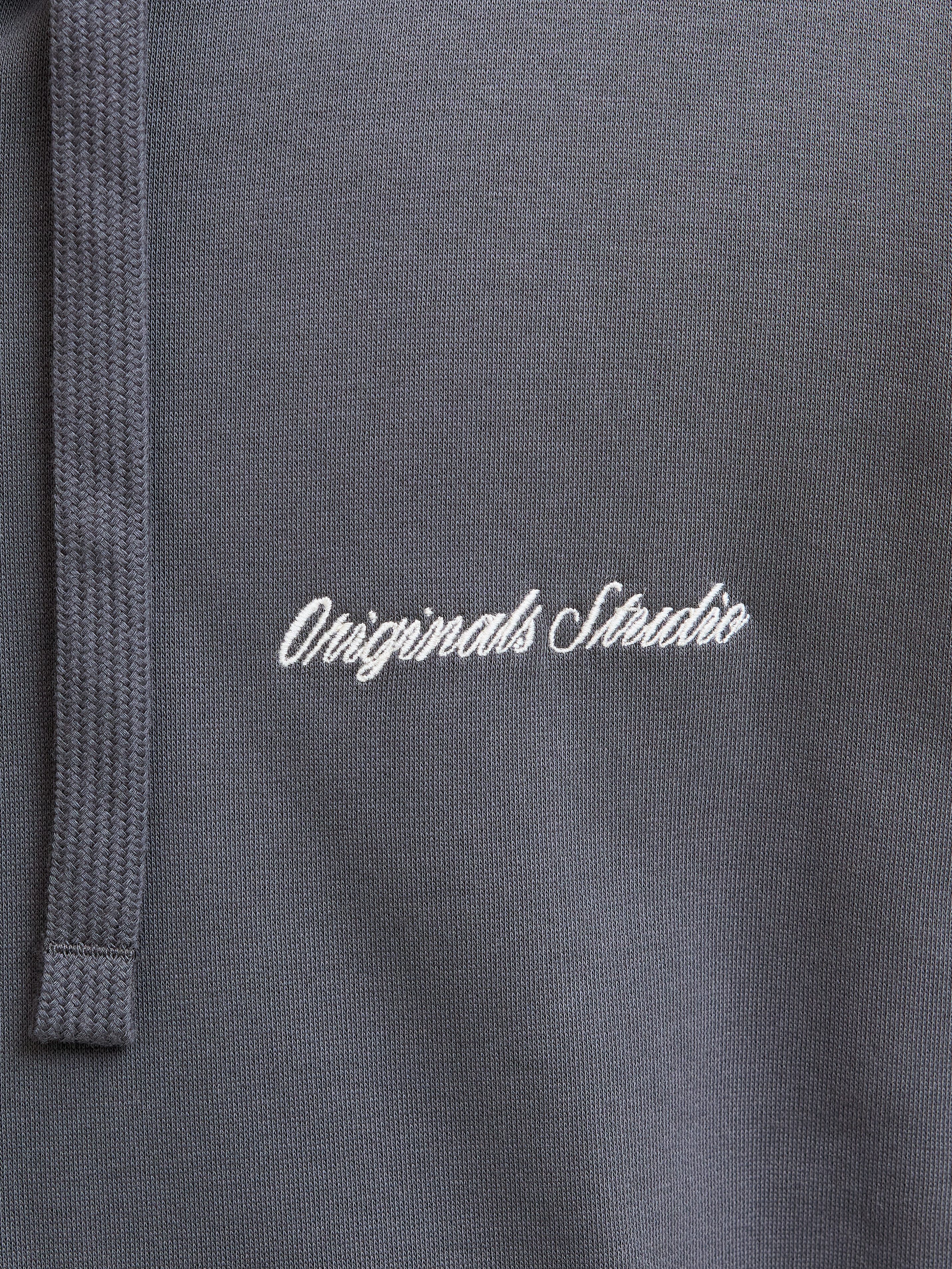 Jack & Jones PlusSize Kapuzensweatshirt JORNORREBRO EMB SWEAT ZIP HOOD PLS günstig online kaufen