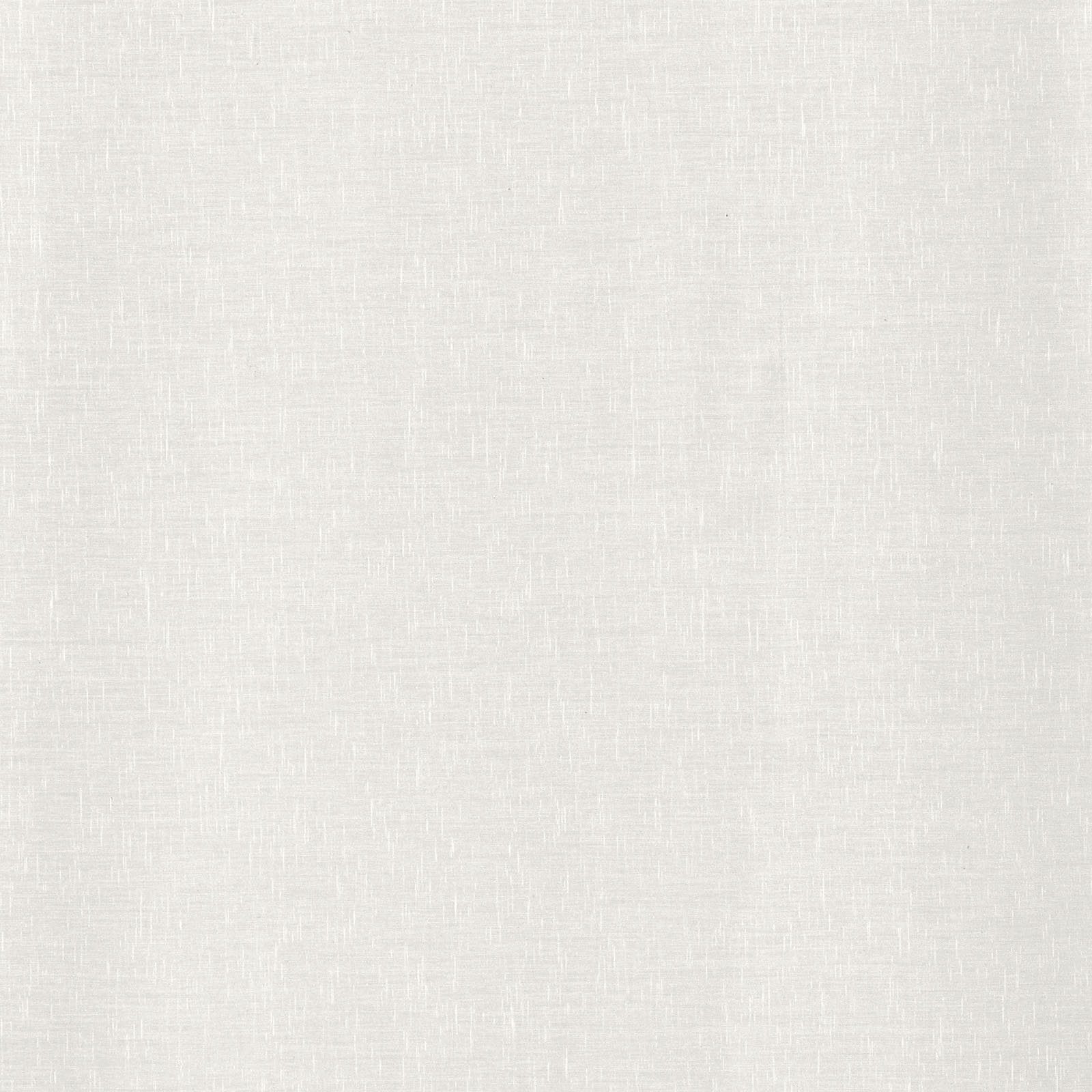 heimtexland Schiebegardine Batist Optik Natur Flächenvorhang Gardine Typ410 (1 St), Paneelwagen, transparent, Polyester in Batist-Optik, transparent, mit Zubehör, Schiebevorhang, HxB 245x60 cm