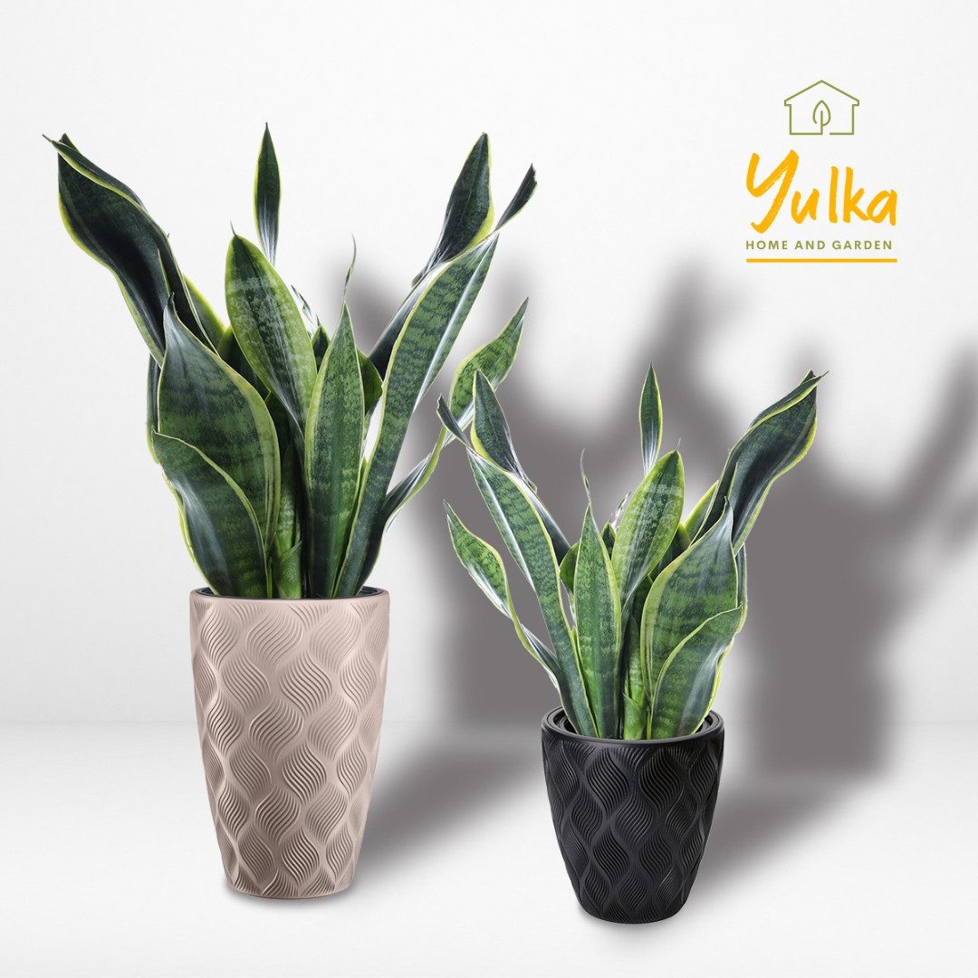 YULKA Pflanzkübel LEAVES (Set, Übertopf mit günstig online kaufen