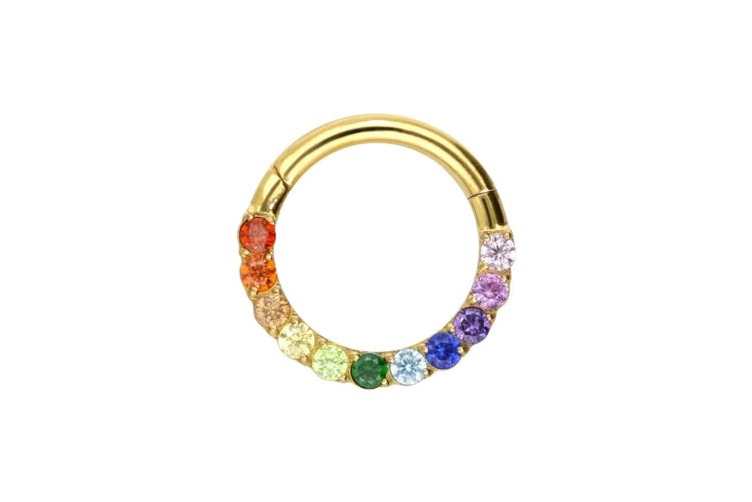 Nasenpiercing Titan Segmentring Clicker EINGEFASSTE BUNTE KRISTALLE Ohrpiercing