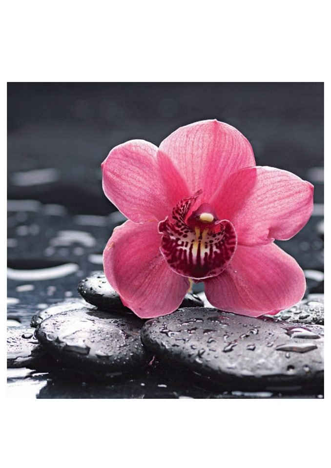 Home affaire Glasbild »Still life with pepple and macro of orchid with water drops«, 30/30 cm