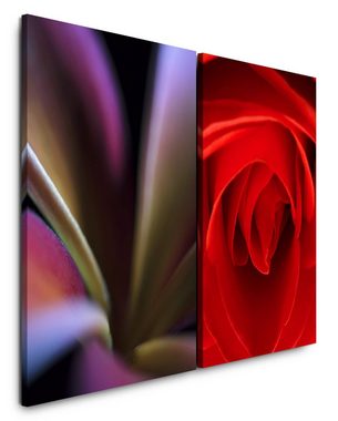 Sinus Art Leinwandbild 2 Bilder je 60x90cm Rose rote Blüte Dessous Kunstvoll Nahaufnahme Romantisch Schlafzimmer
