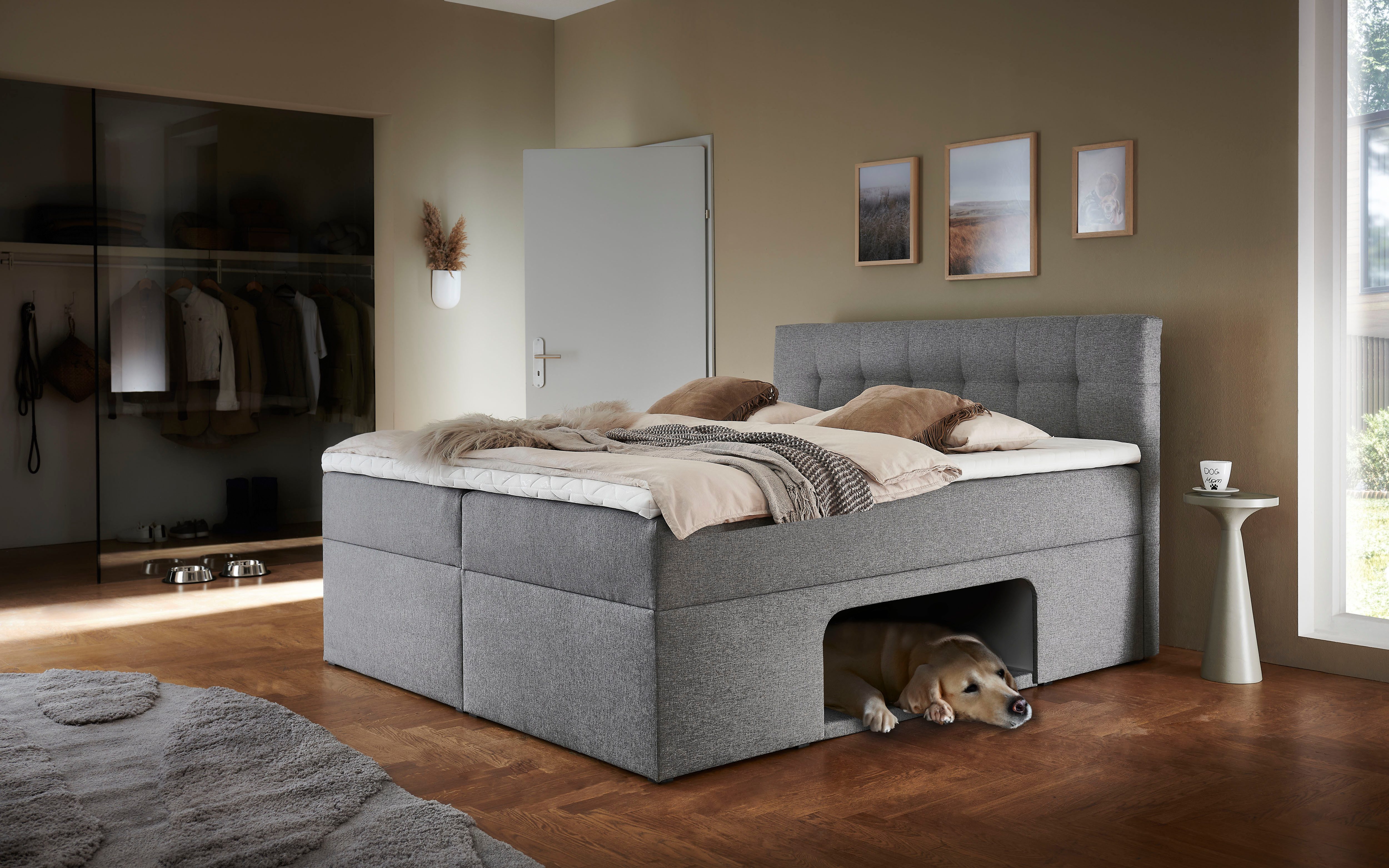 Places of Style Boxbett Carolin, mit Nische inkl. gepolsterter Unterlage für Haustiere