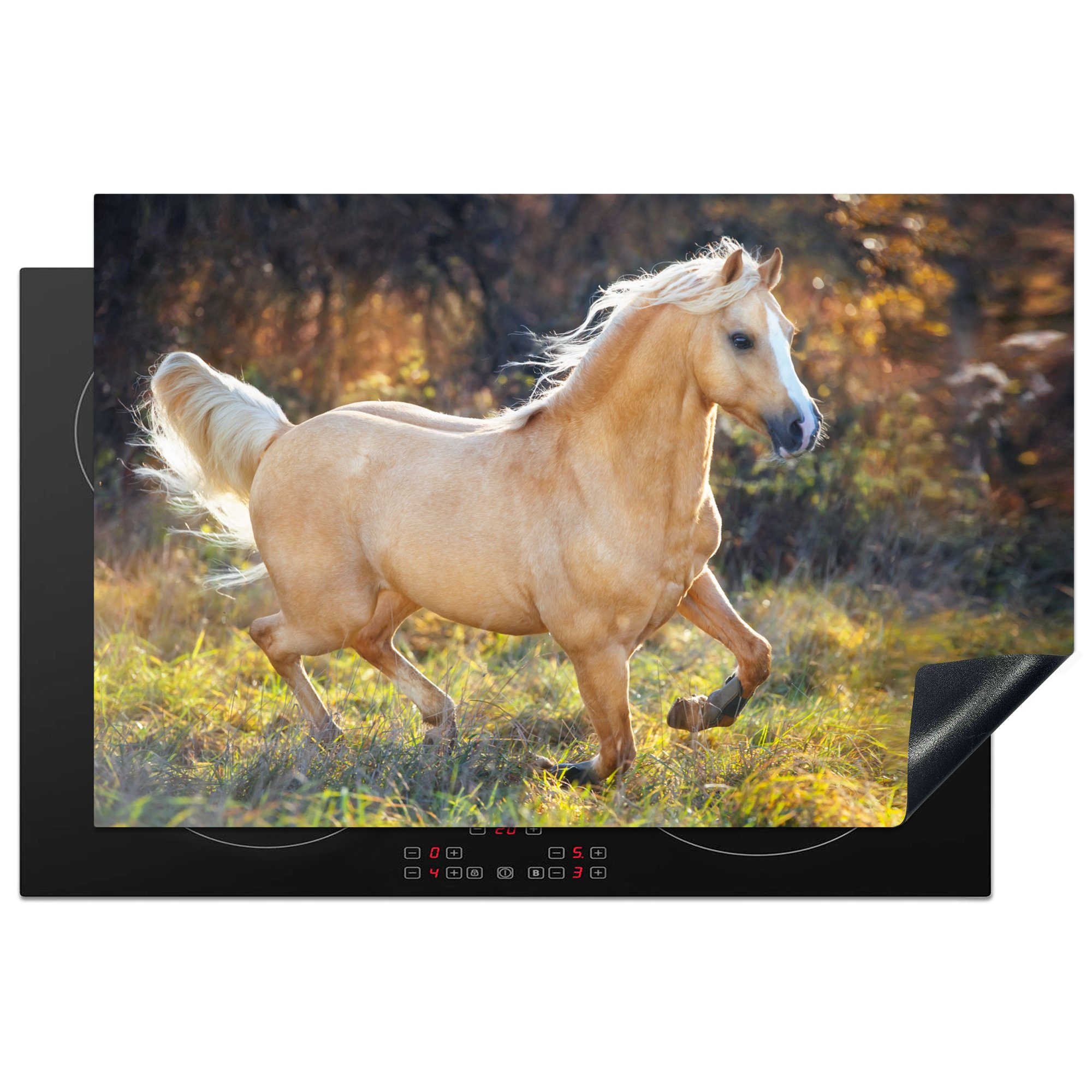MuchoWow Herdblende-/Abdeckplatte Galoppierendes Palomino-Welsh-Pony, Vinyl, (1 tlg), 81x52 cm, Induktionskochfeld Schutz für die küche, Ceranfeldabdeckung