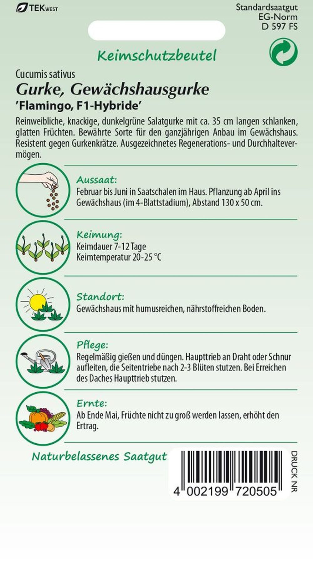 SAMEN PFANN Gemüsesamen Salatgurke, Flamingo F1 - Gurken-Samen Saatgut Sala günstig online kaufen