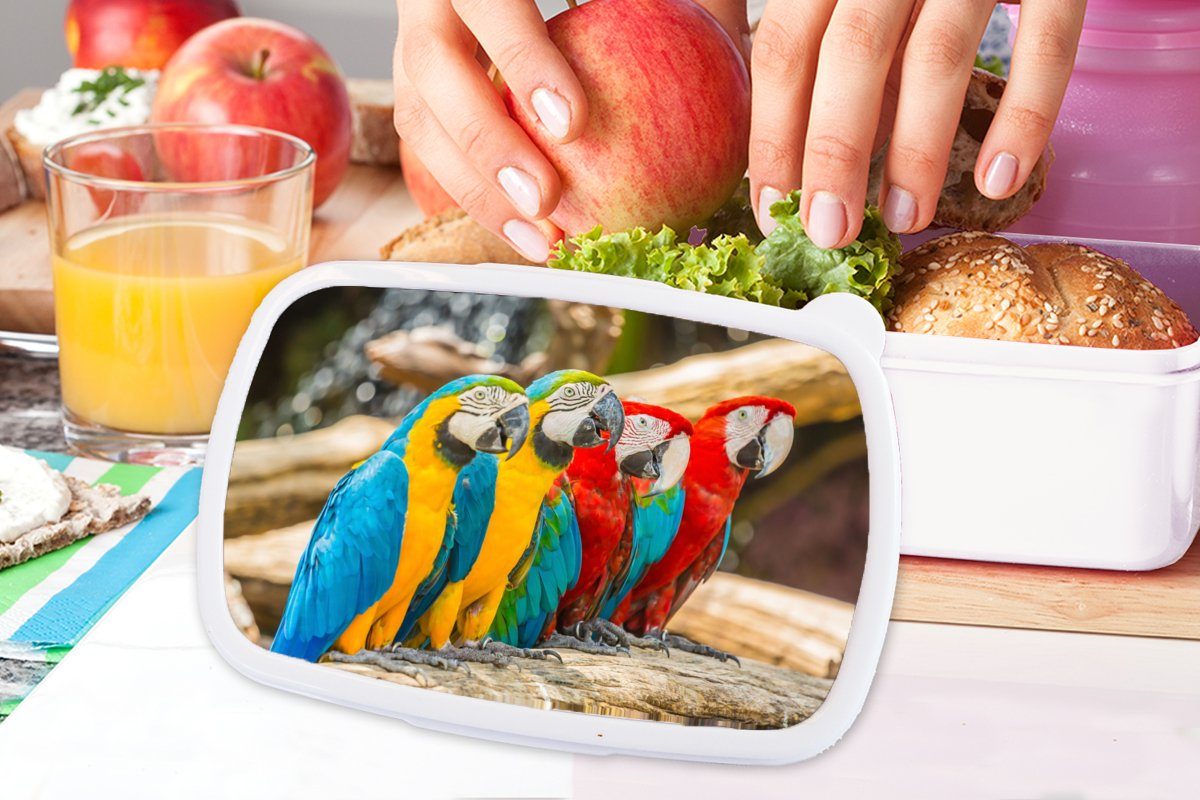 - Papagei weiß für Kinder Vögel und Brotdose, Jungs Brotbox - und Tropisch (2-tlg), Erwachsene, Lunchbox Kunststoff, - Mädchen Natur, für MuchoWow