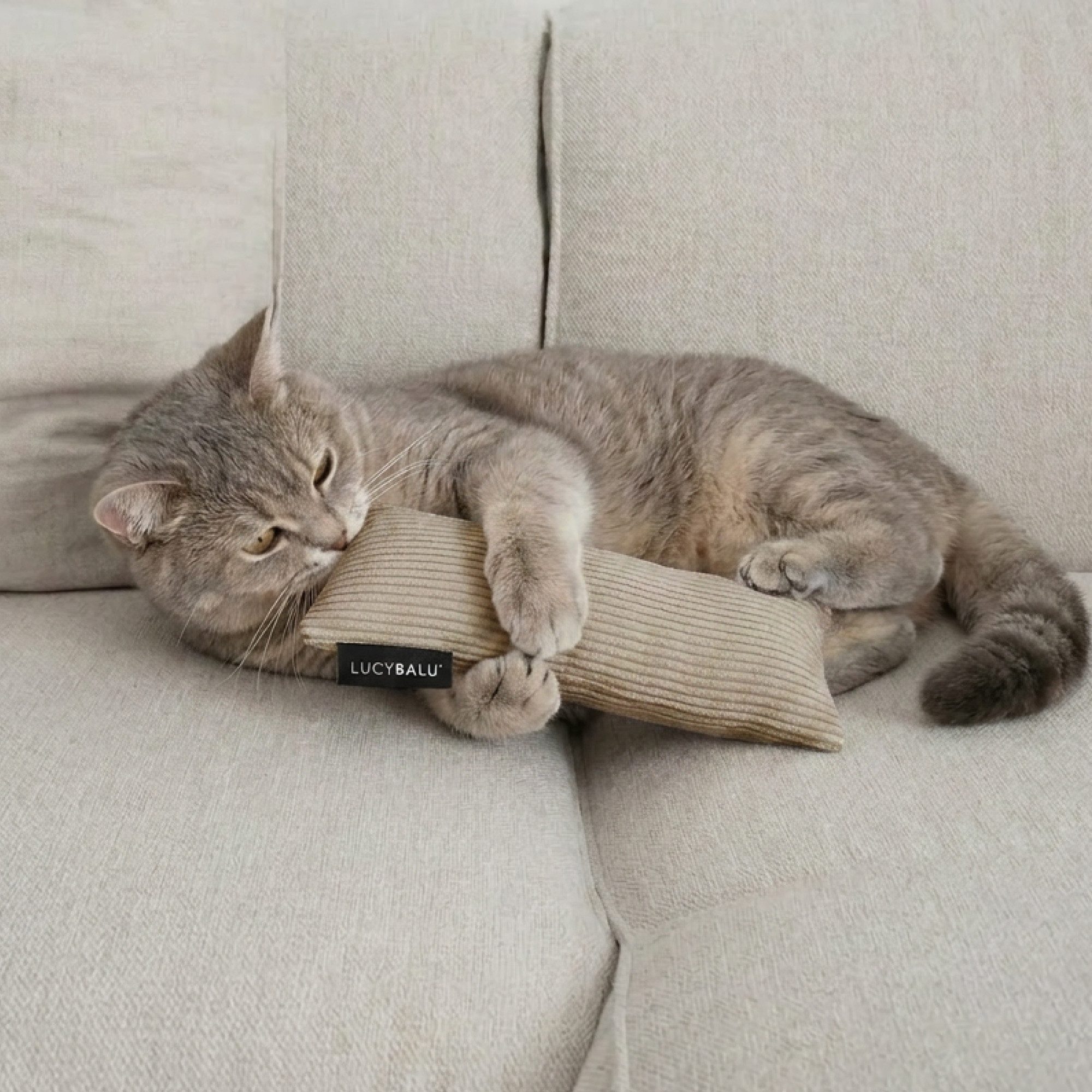 LucyBalu Tierkuscheltier »KICK BUNNY Katzenkissen mit Catnip / Katzenminze aus Cord & Wolle«