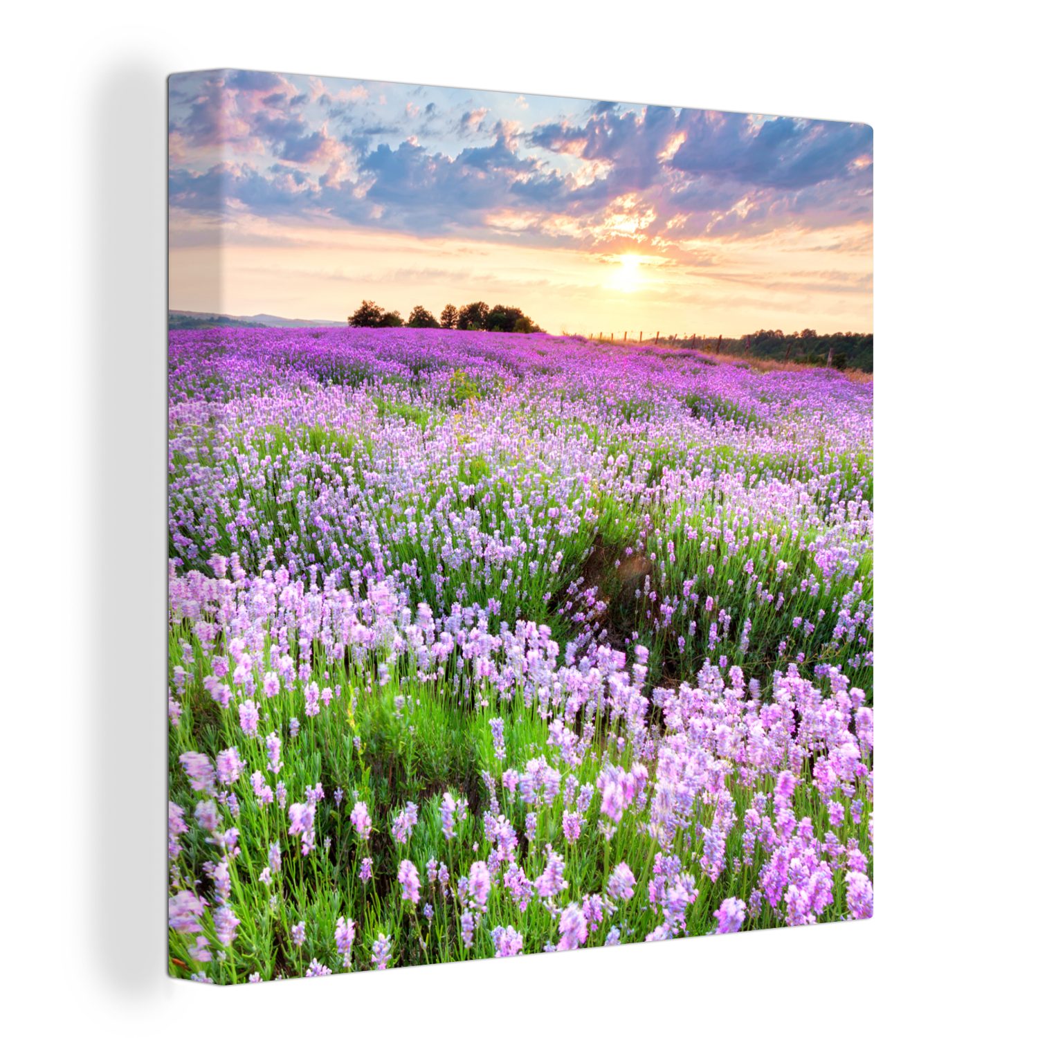 OneMillionCanvasses® Leinwandbild Lavendel - Blumen - Sonnenuntergang - Lila - Wiese, (1 St), Leinwand Bilder für Wohnzimmer Schlafzimmer