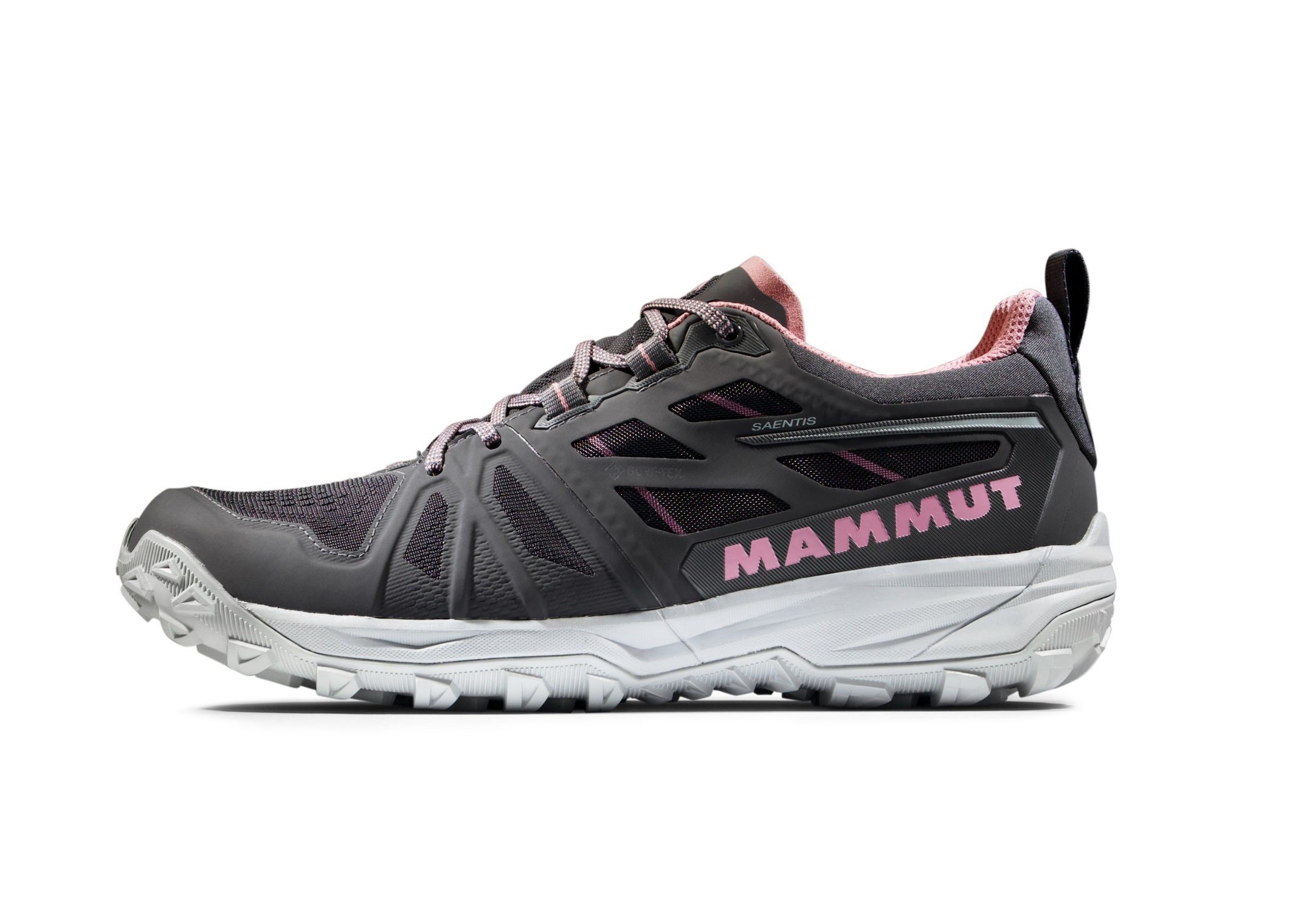 Saentis Low GTX (wasserdicht) asphaltgrau Damen Laufschuh