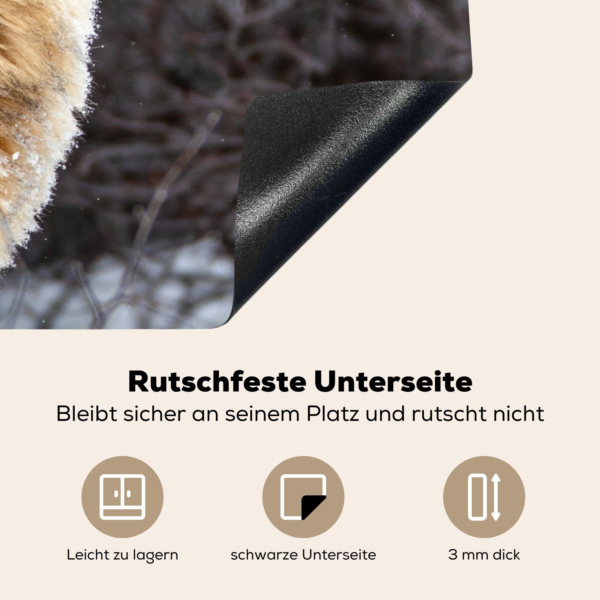 81x52 Ceranfeldabdeckung Schutz Herdblende-/Abdeckplatte cm, für Wald, die tlg), (1 küche, Induktionskochfeld MuchoWow Wolf - Winter - Vinyl,