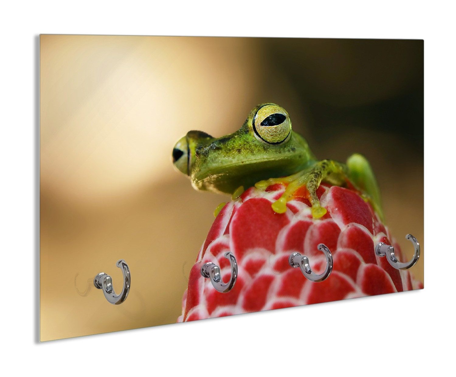 Wallario Полотенцесушители Frosch sitzt auf einer Knospe, aus Glas mit 4 Metallhaken