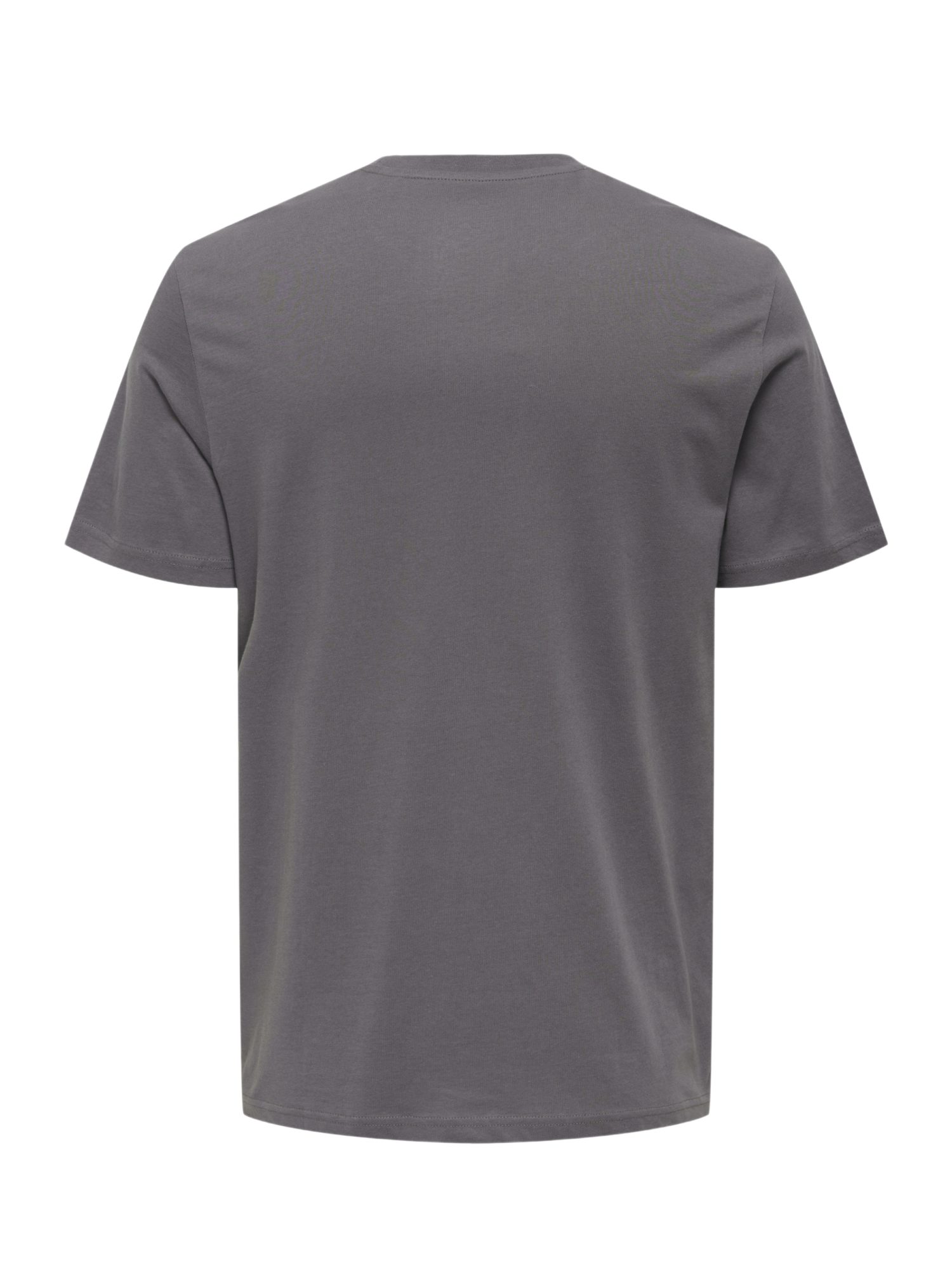 ONLY & SONS Kurzarmshirt 2027-3 SPRING
