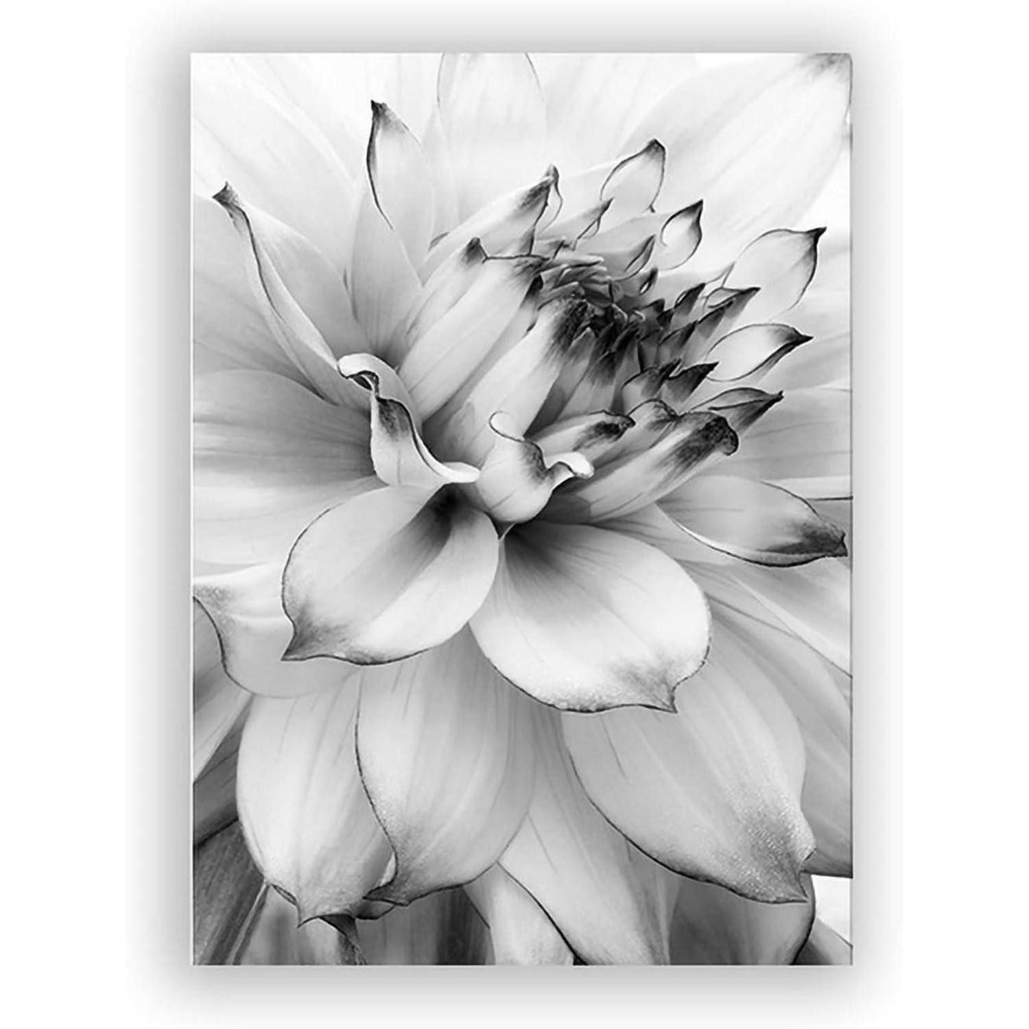 LuxusKollektion Poster 3-teiliges Poster Set Blume Schwarz Weiß Feder Löwenzahn Wandbilder – Bild 4 von 5