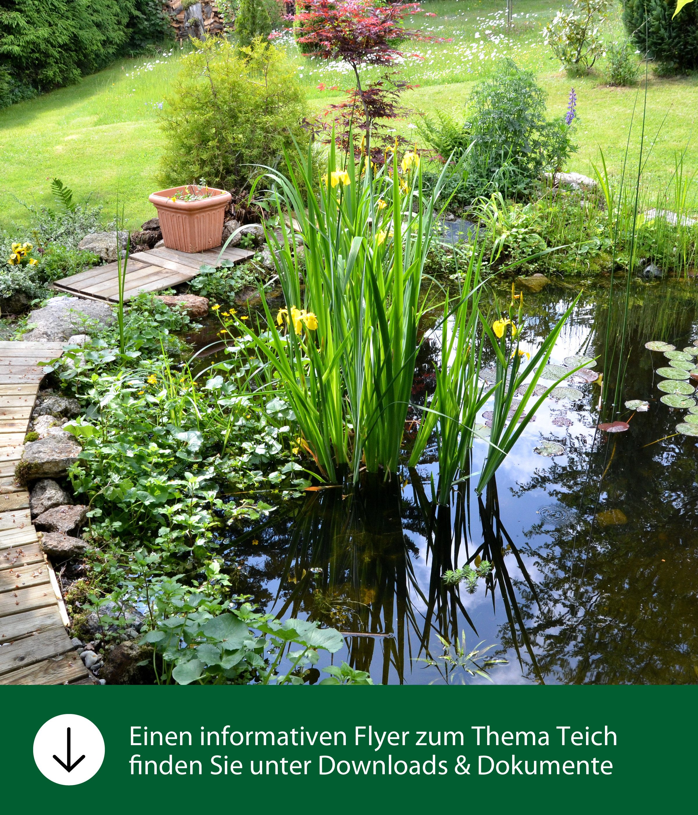 Dehner Aquarien-Substrat Aqua Wassertest für Aquarium/Teich, günstig online kaufen