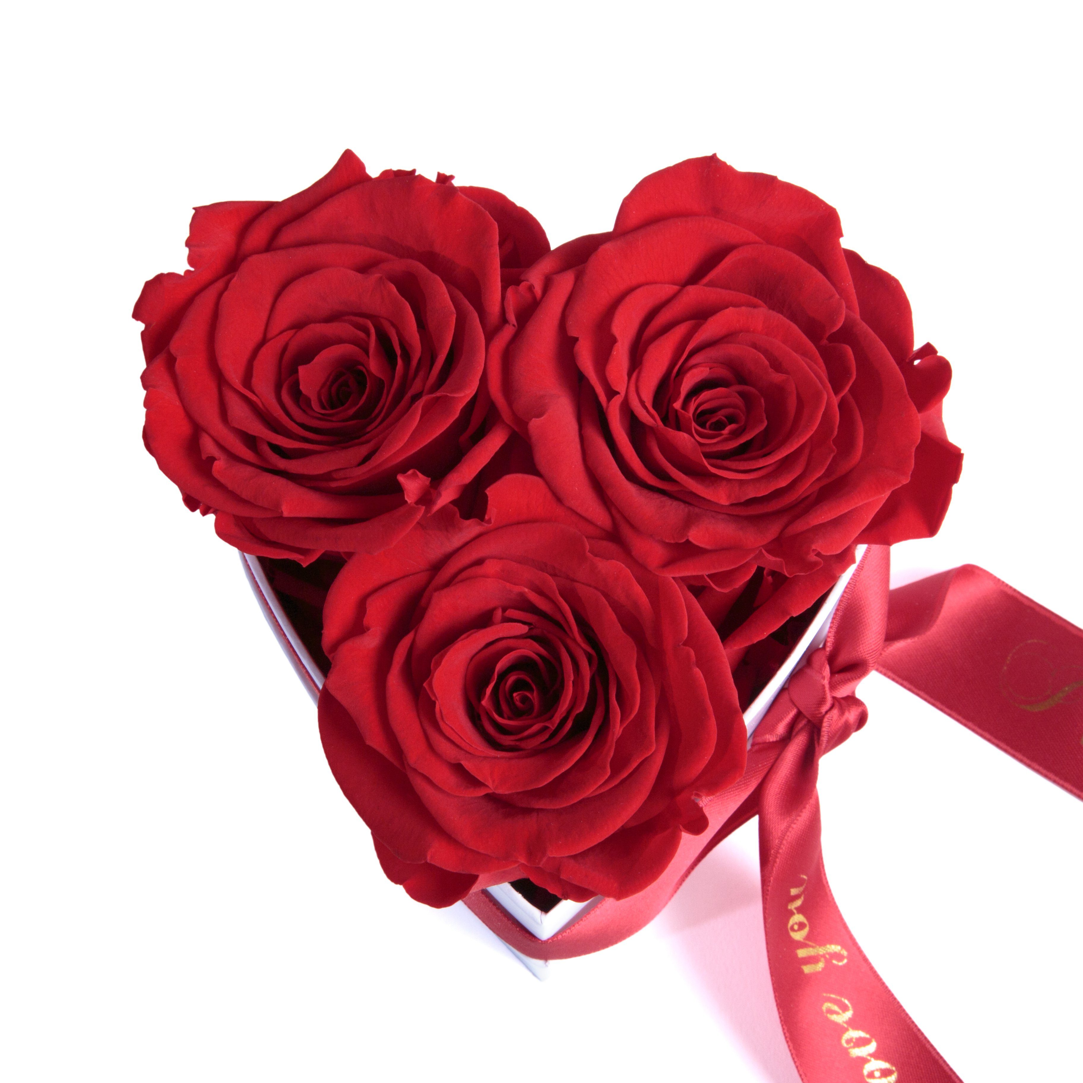 Kunstblume Rosenbox Herz 3 konservierte Infinity Rosen in Box I Love You Rose, ROSEMARIE SCHULZ Heidelberg, Höhe 8.5 cm, Valentinstag Geschenk für Sie, Made in Germany