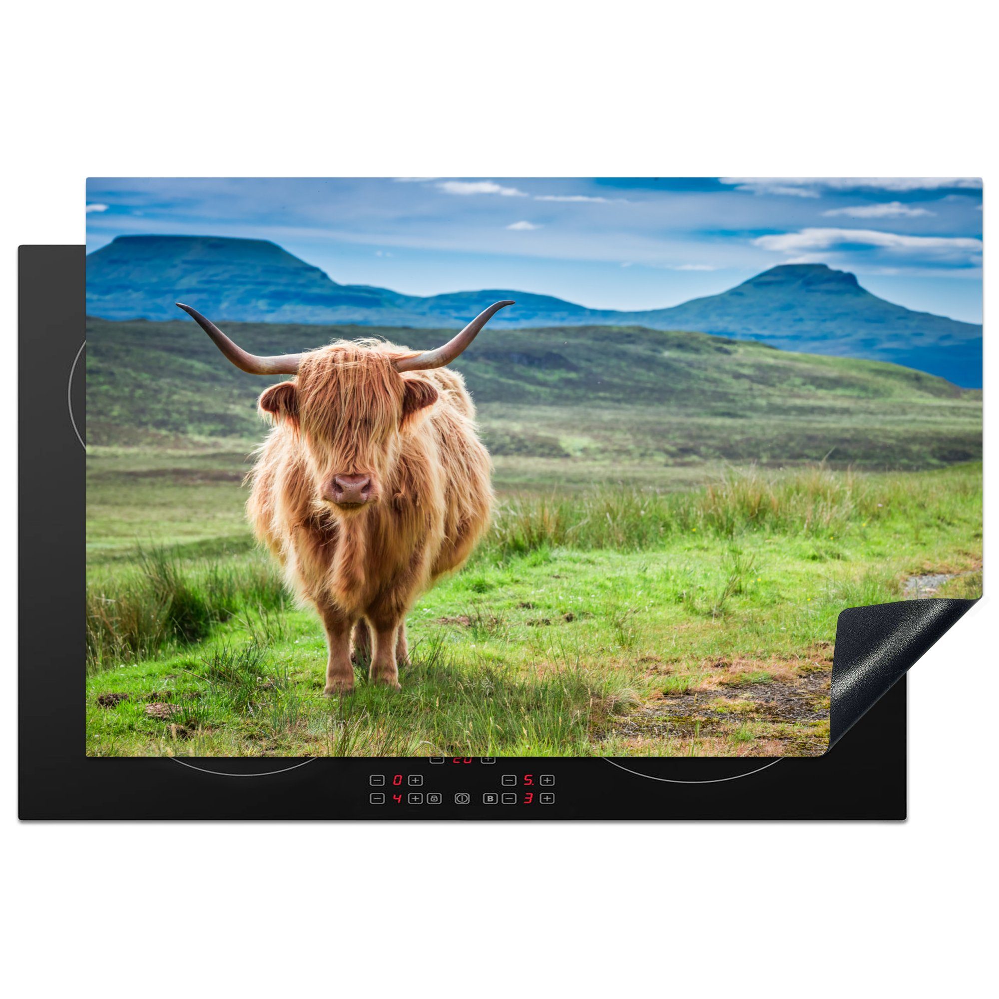 MuchoWow Herdblende-/Abdeckplatte Kühe - Schottische Highlander - Schottland, Vinyl, (1 tlg), 81x52 cm, Induktionskochfeld Schutz für die küche, Ceranfeldabdeckung