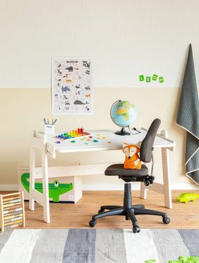 BioKinder - Das gesunde Kinderzimmer Kinderschreibtisch Leon, 120x70 cm, höhenverstellbar von 50-75 cm mit Rollcontainer