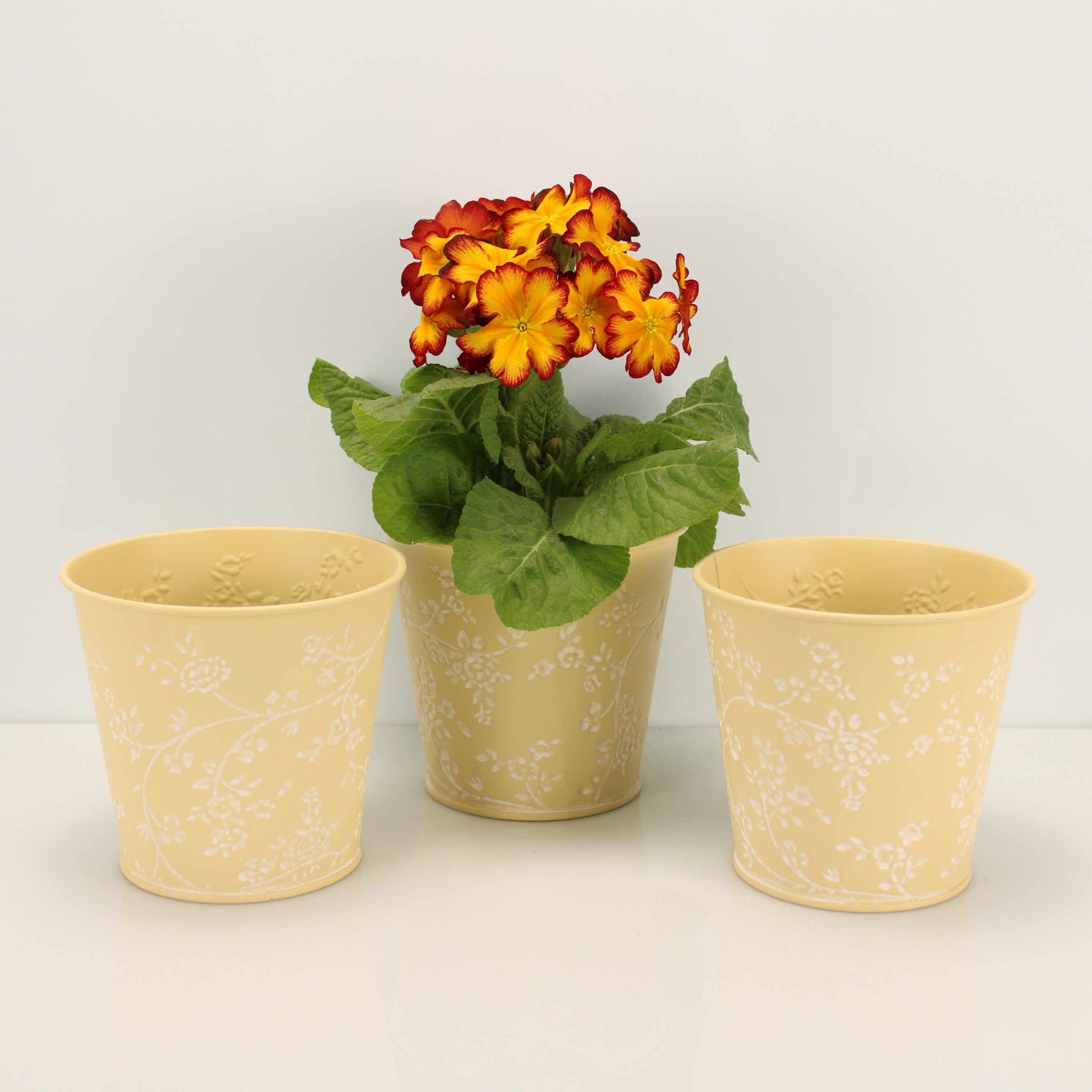 Online-Fuchs Blumentopf 3er Set Blumentöpfe aus günstig online kaufen