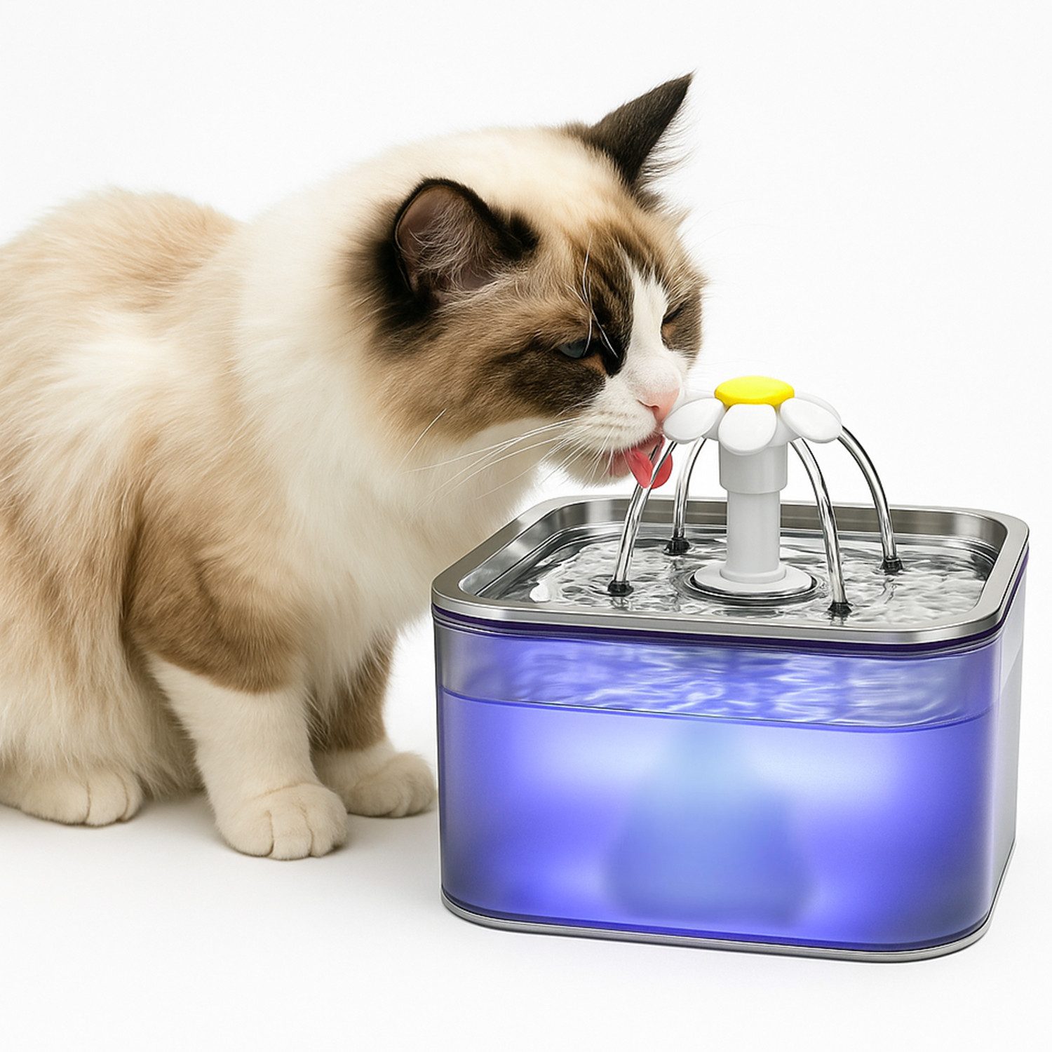 Trinkbrunnen Katzenbrunnen Edelstahl 3L Trinkbrunnen für Katze USB, ohne Stecker