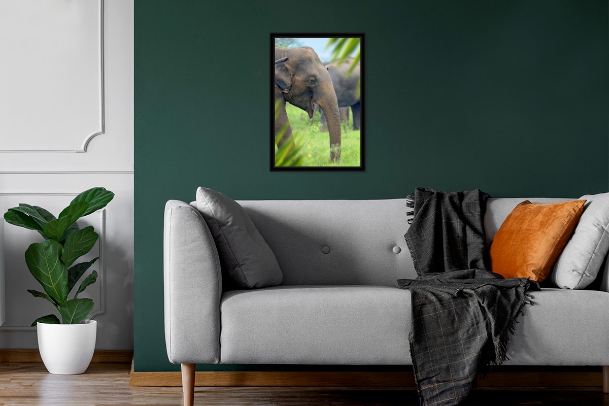 MuchoWow Poster Elefant - Palme Bilder, Wandposter, - Poster, (1 Tiere, Bilderrahmen St), Wanddeko, Schwarzem Gerahmtes