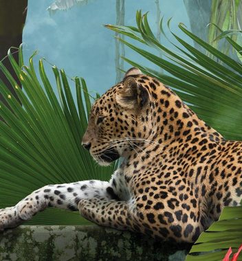 MyMaxxi Sichtschutzstreifen Zaunsichtschutz Tiere im Dschungel Sichtschutz Garten Zaun