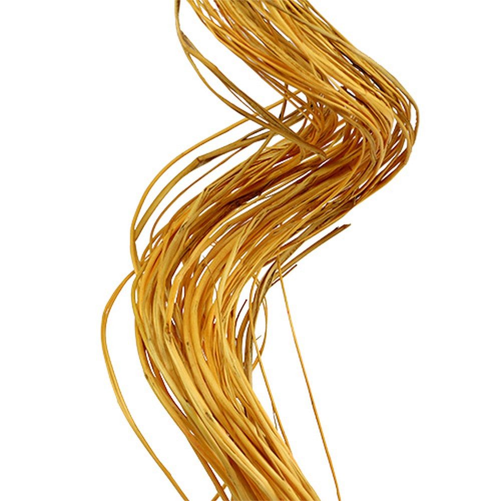 Trockenblume Ting Ting Curly 60cm goldgelb günstig online kaufen