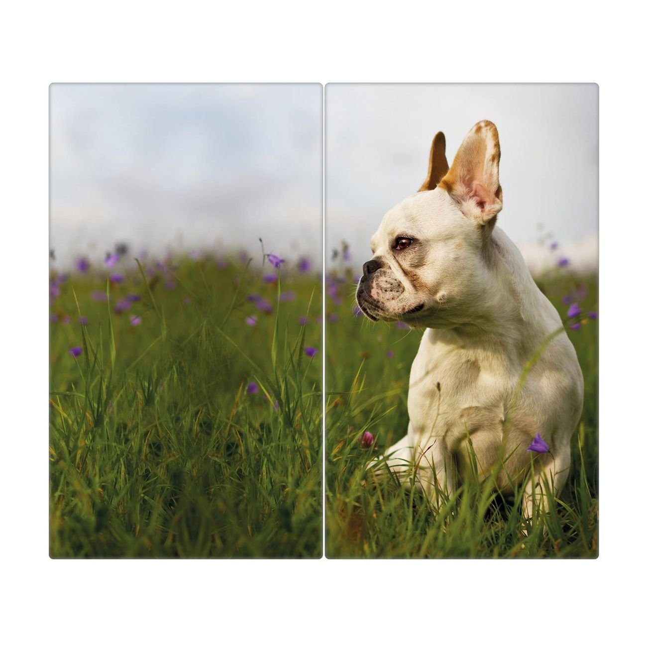 Herd-Abdeckplatte tlg., Französische Glas Gummifüßchen) Bulldogge, selbstklebende (gehärtet, inkl. 2 banjado
