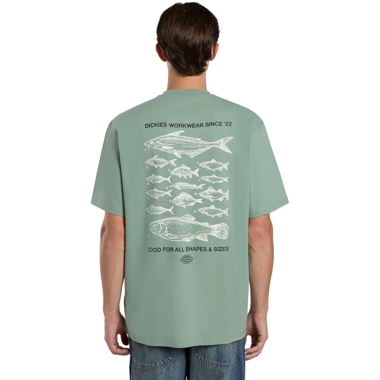 Dickies T-Shirt LARYVILLE TEE LARYVILLE TEE günstig online kaufen