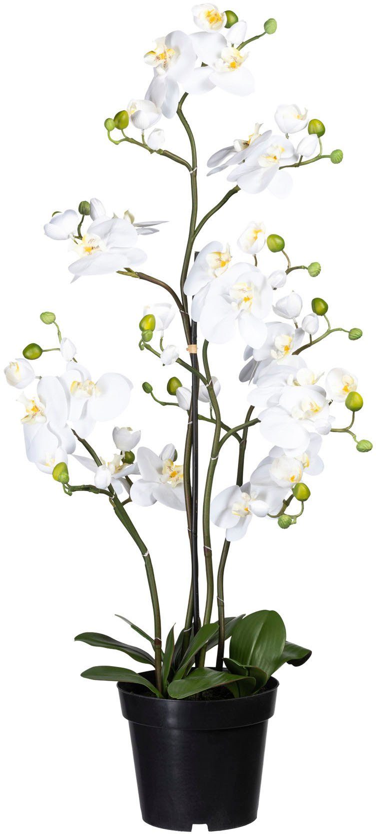 Kunstorchidee Phalaenopsis Orchidee Phalaenopsis, Creativ green, Höhe 90 cm