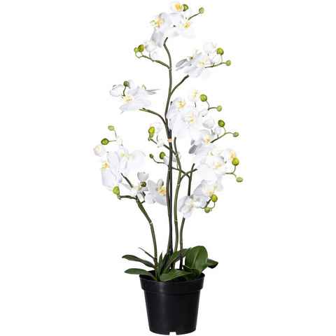 Kunstorchidee Phalaenopsis Orchidee Phalaenopsis, Creativ green, Höhe 90 cm