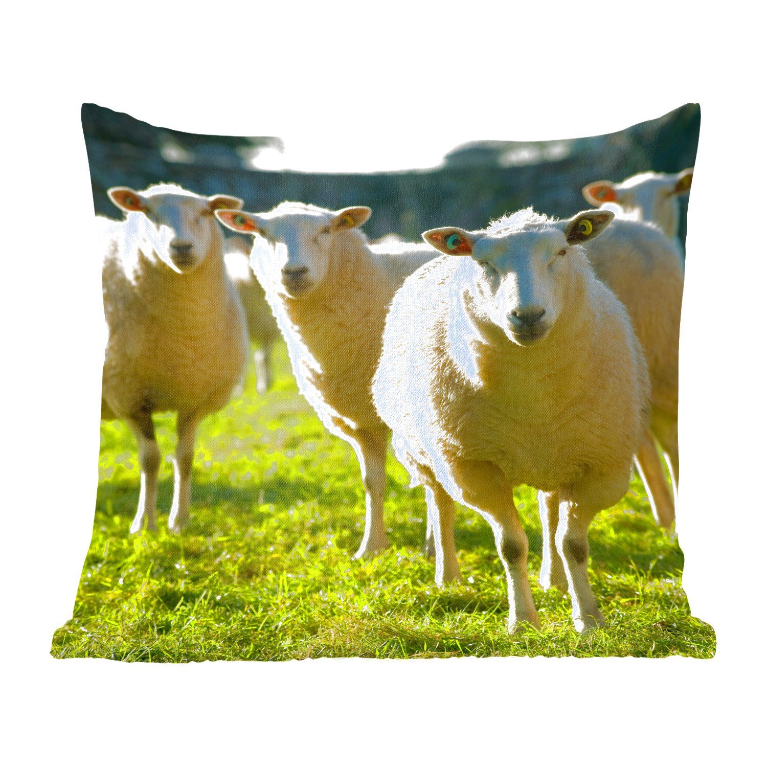 MuchoWow Dekokissen Schafe - Tiere - Wolle, Zierkissen mit Füllung für Wohzimmer, Schlafzimmer, Deko, Sofakissen