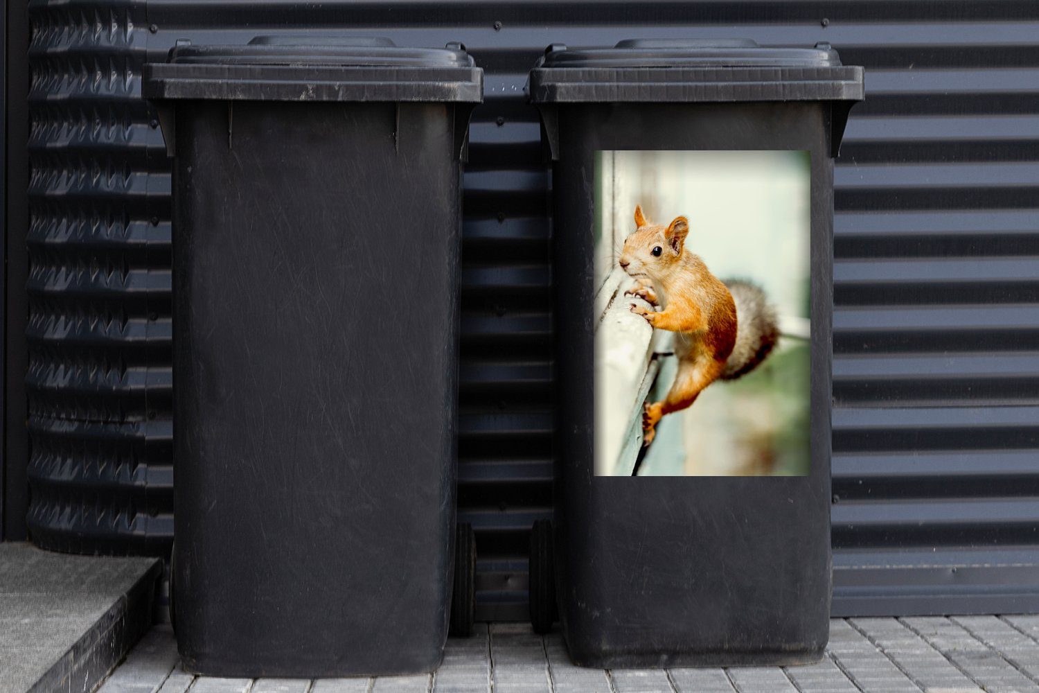 - MuchoWow Mülleimer-aufkleber, St), Fenster Container, Abfalbehälter Sticker, Klettern - (1 Mülltonne, Wandsticker Eichhörnchen