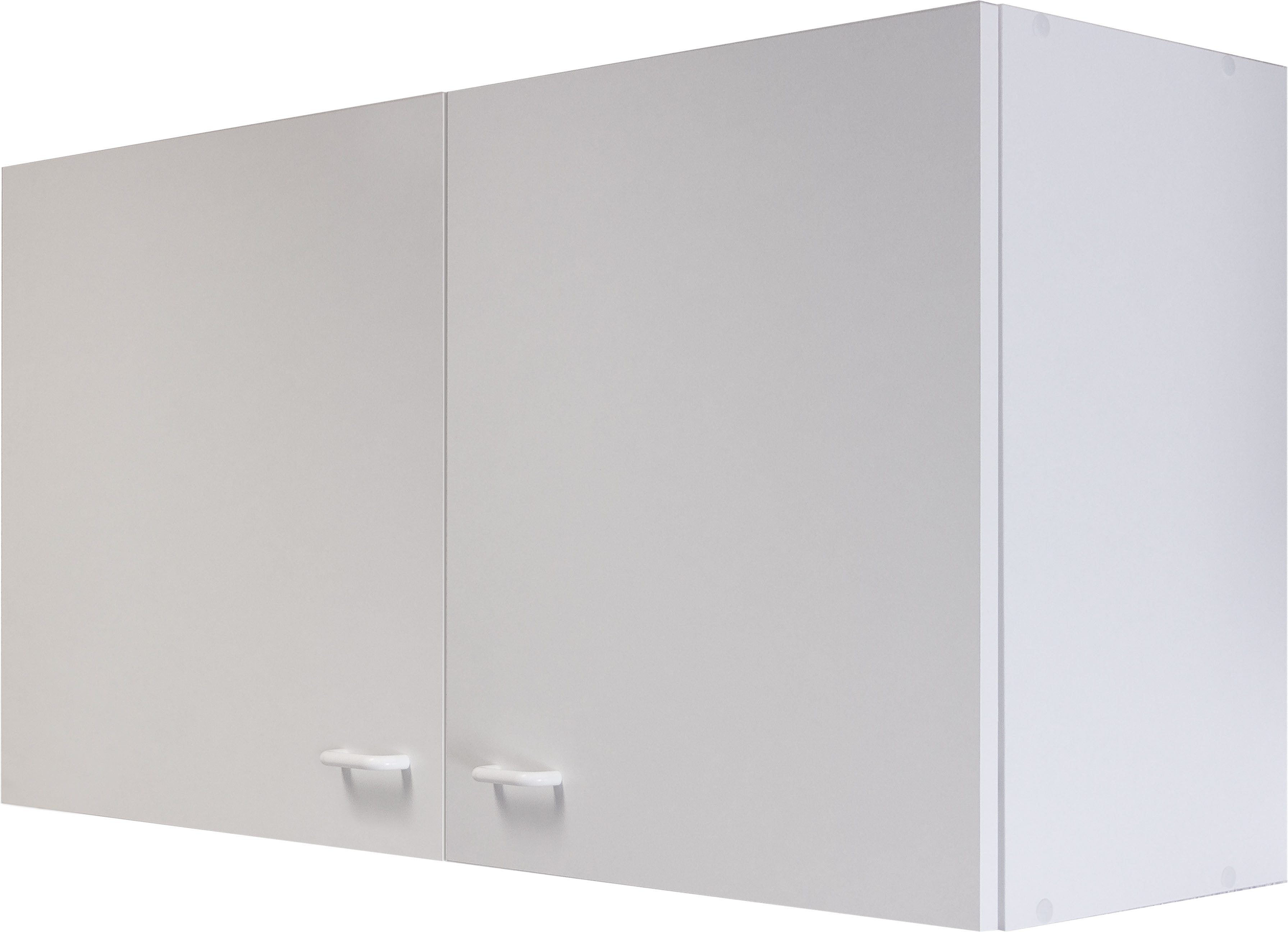 Flex-Well Hängeschrank Sellin (1-St) (B x H x T) 100 x 54,8 x 32 cm
