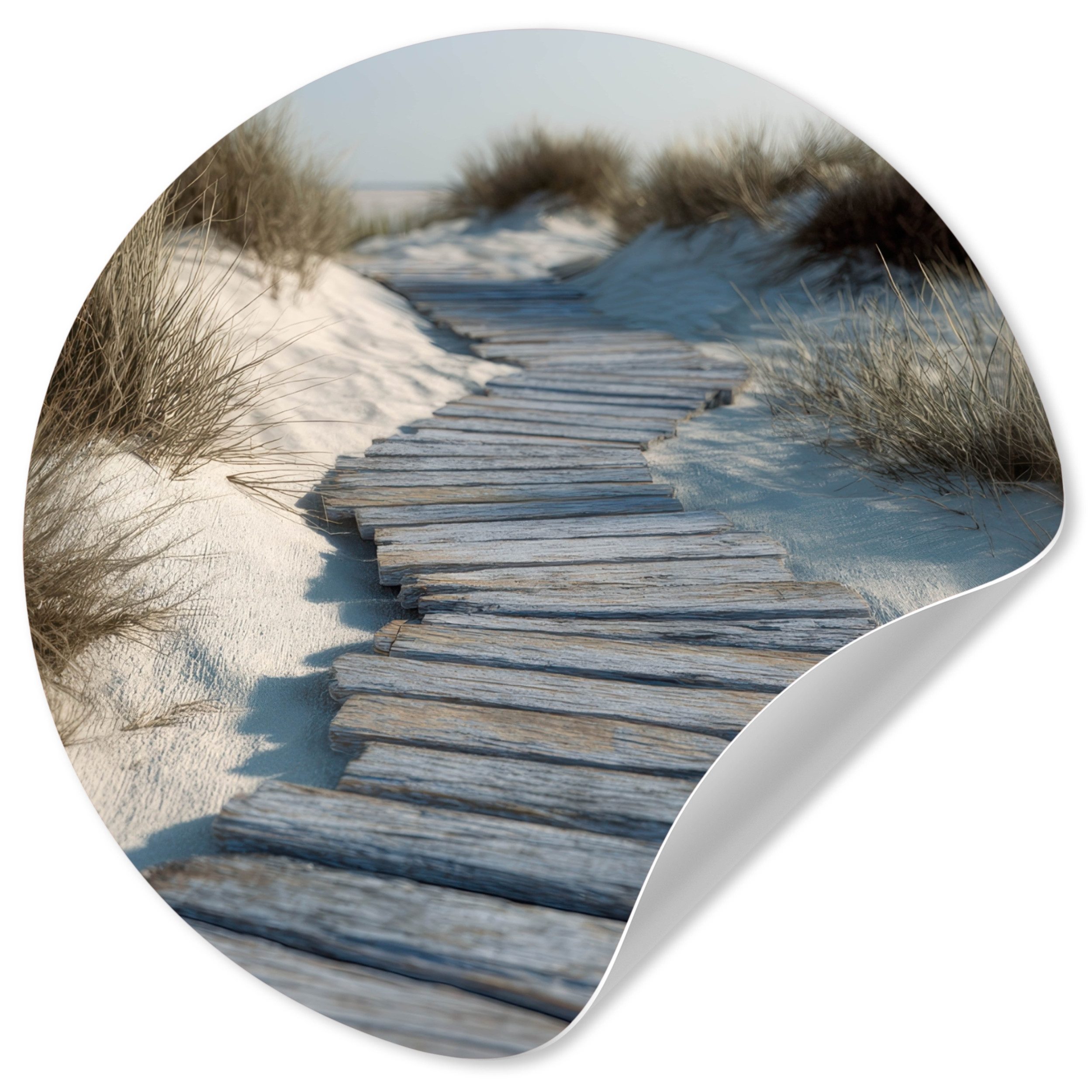 MuchoWow Wandsticker Pfad - Regale - Dünen - Gras (1 St), Wandtattoo Selbst günstig online kaufen