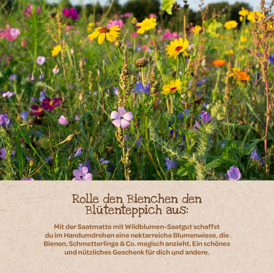 Die Stadtgärtner Blumensamen Blütenteppich – Saatmatte mit Wildblumensaatgut, Größe 300 x 10 cm, Ideal für Insekten