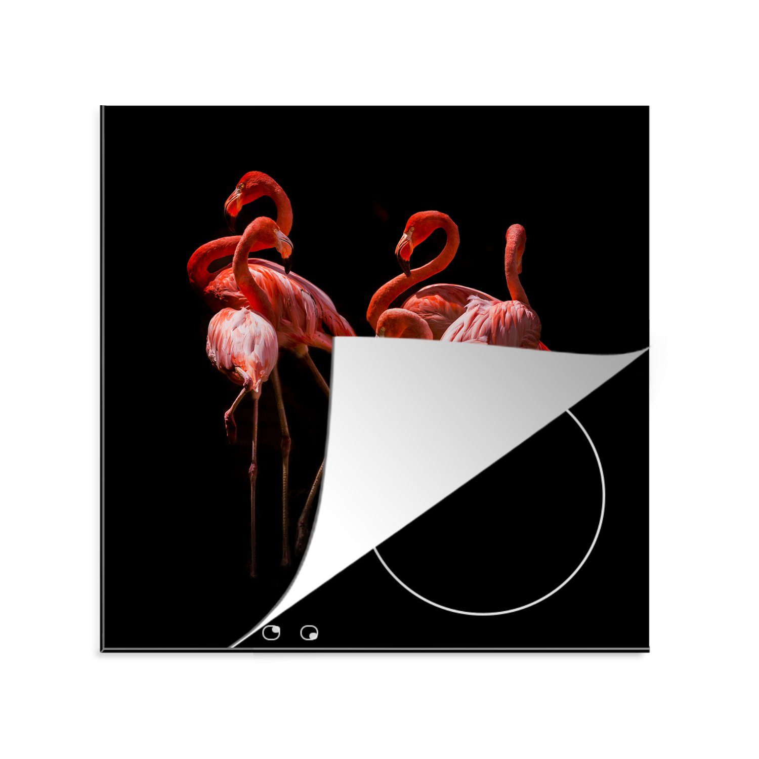 MuchoWow Herdblende-/Abdeckplatte Amerikanische Flamingos in Schlafposition auf schwarzem Hintergrund, Vinyl, (1 tlg), 78x78 cm, Ceranfeldabdeckung, Arbeitsplatte für küche