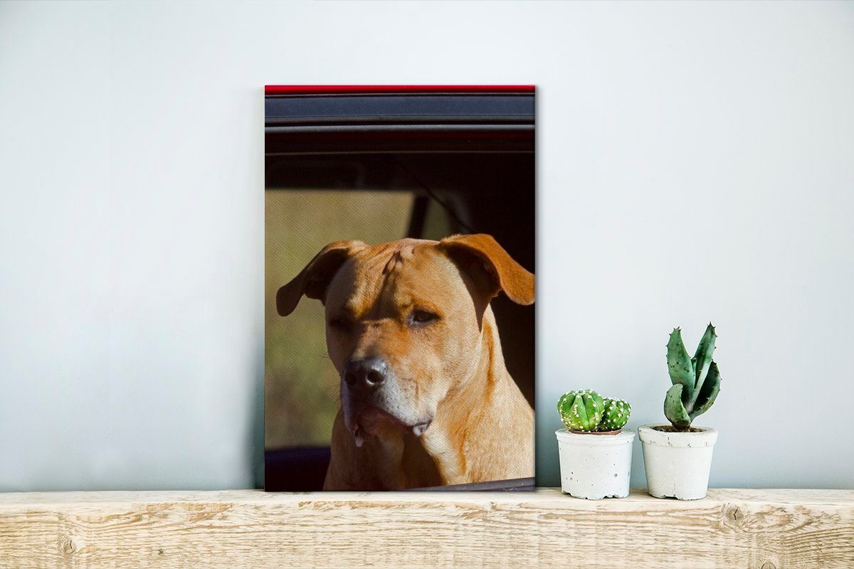 Zackenaufhänger, Staffordshire Leinwandbild bespannt Terrier St), in einem roten 20x30 Leinwandbild fertig cm (1 Gemälde, Auto, OneMillionCanvasses® Bull inkl. Ein