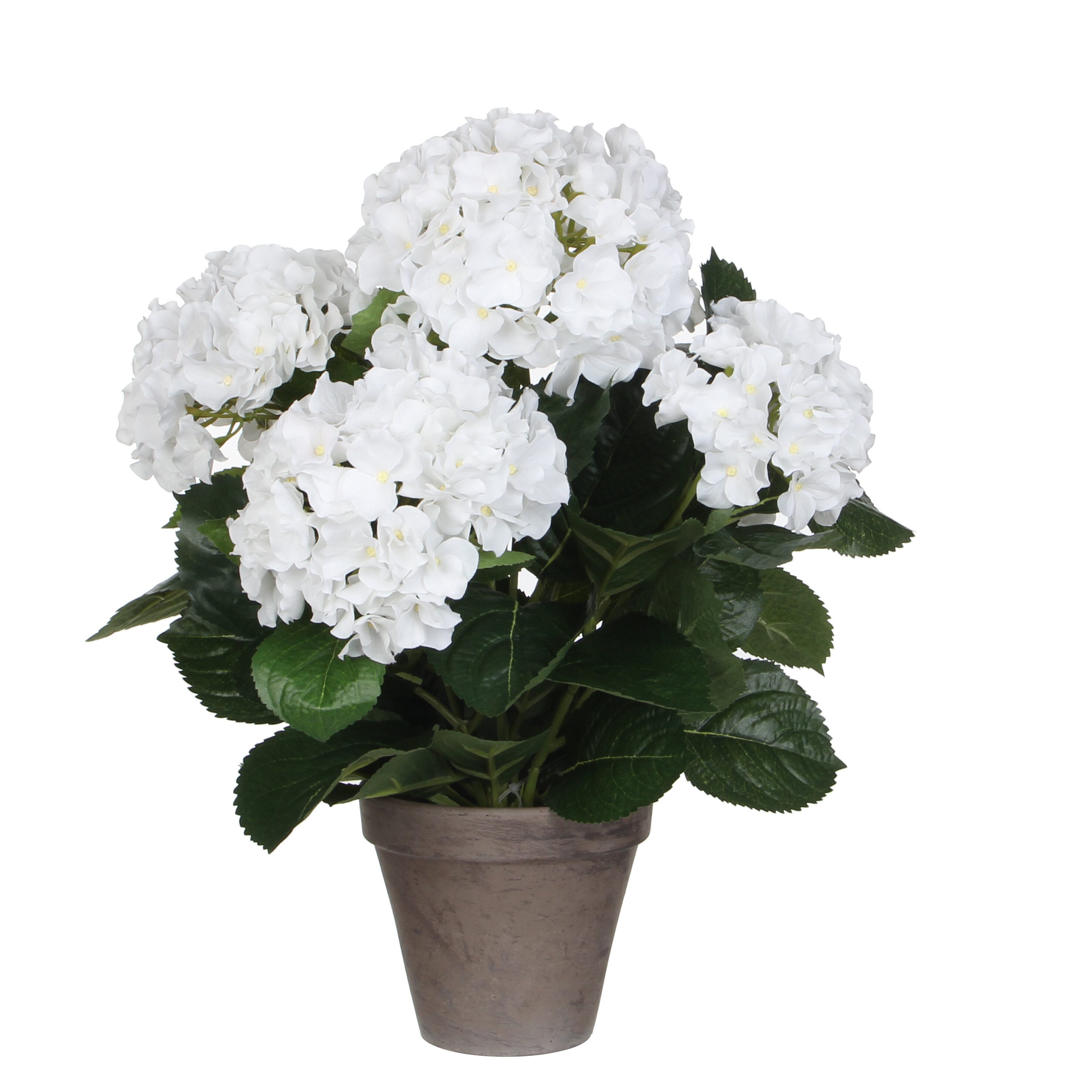 Kunstpflanze Mica Decorations Hortensie weiss in Topf Stan grau d13,5cm - h45xd45cm, Mica Decorations, Höhe 45 cm