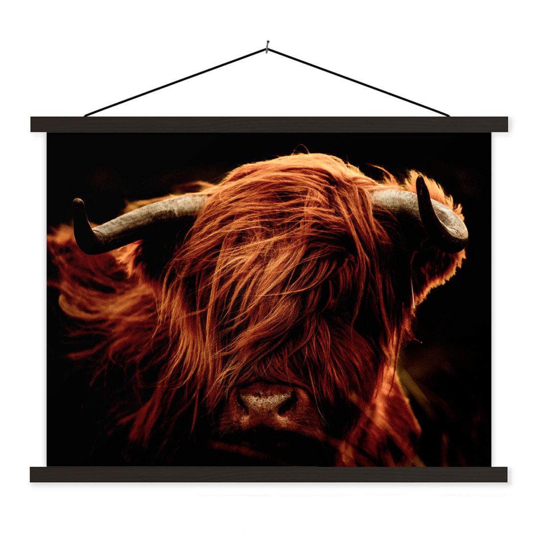 Poster Schottischer Highlander - Kuh - Hörner - Porträt - Tiere