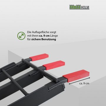 TRUTZHOLM Auffahrrampe TRUTZHOLM 1 x Auffahrrampe klappbar 180 cm Traglast 340 kg Alu schwarz (1-St)