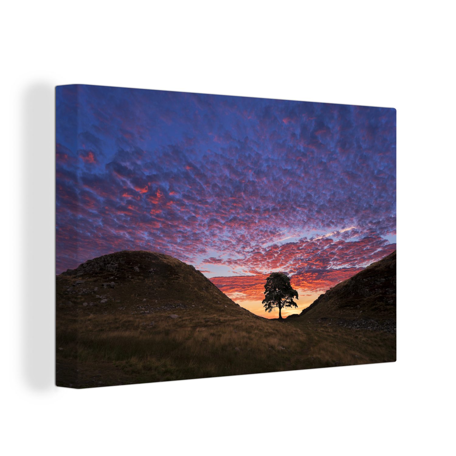 Tree (1 Leinwandbilder, mit Der 30x20 Wanddeko, Sycamore Gap am St), Himmel, farbigem Aufhängefertig, Leinwandbild Hadrianswall Wandbild cm OneMillionCanvasses®